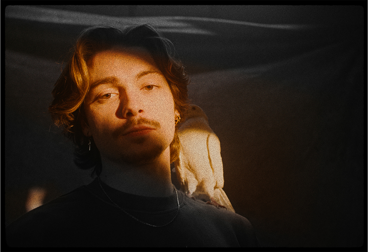 Be A Dove